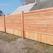 Забор деревянный 1010 фото