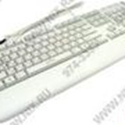 Клавиатура OKLICK Multimedia Keyboard