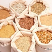 Закупка зерновых культур фото