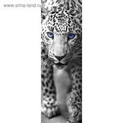 Фотообои "Леопард чёрно-белый", 0,9х2,7 м
