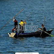 Комбинированные лодки фото