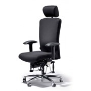 Кресла для офисов Bioswing 550 фото