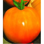 Семена томата высокорослого Ананасный (20 штук)
