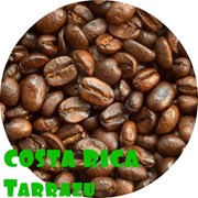 Кофе Арабика Премиум. Коста Рика. фото