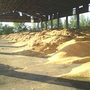 Заготовка сырья фото