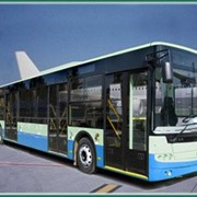 Автобус для обслуговування аеропортів Богдан A 80190 фото