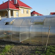 Теплица Удачная фото