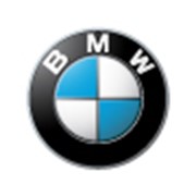 Автомобильные чехлы на BMW фото