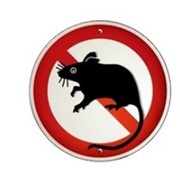 Средство для уничтожения крыс Ратициды фото