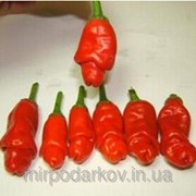 Семена Секси перчики Chilly Willy Penis Peppers s2 фото
