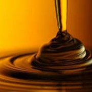 Закупаем рапсовое масло на экспорт для производства биодизеля фото