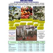 Оборудование для переработки плодов и ягод «под ключ» фотография