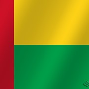 Флаг национальный Гвинея-Бисау фотография