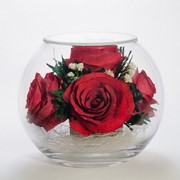 Роза в стекле tm NFP Bs-r1 фото