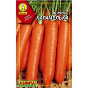 Морковь Карамелька фото