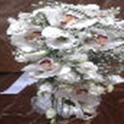 Букеты для невесты, Симферополь фотография
