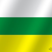 Флаг города Новозыбков (Брянская область) фотография
