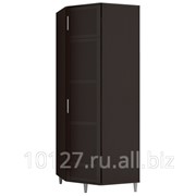 Шкаф для одежды Модуль ФР-32М фото