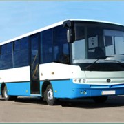 Автобус Богдан А20110 фото