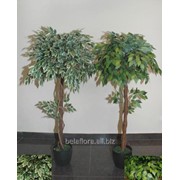 Растение искусственное в горшке “Фикус штамбовый“ 1,3м AН05080 фото