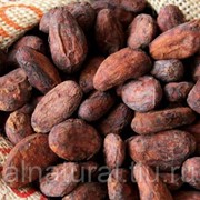 Какао бобы Вануату Конвеншионал 1 кг фото