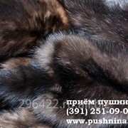 Закупка:мех горнастая фото