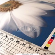 Широкоформатная печать фото