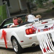 Изготовление украшений для свадебных автомобилей фото