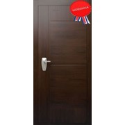 Дверь стальная Pandoor модель Concept фото