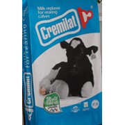 Заменители цельного молока для телят (ЗЦМ) фото