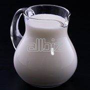 Молоко сырое оптом от 20-30 т. оптом от производителя фото