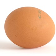 Яйцо высшей категории фото