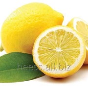 Лимонный скраб фотография