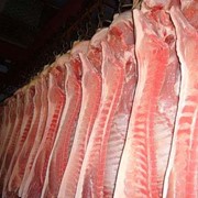 Мясо свинины полутуши охлажденное фотография