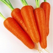 Семена моркови Абликсо F1 10 г. фото