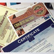 Сертификация деревообрабатывающего оборудования и продукции деревообработки фото