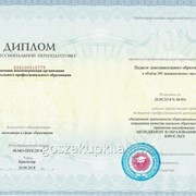 Профессиональная переподготовка 260 ак.ч. "Педагог/Воспитатель дополнительного образования"