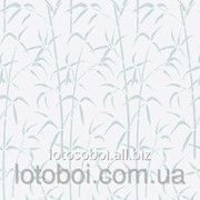 Самоклейка В (бамбук) 200-8326 4007386218186 фото