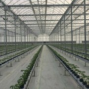 Теплицы последнего поколения фото