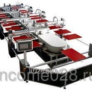 Автоматическая овальная машина трафаретной печати WTKY фото