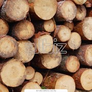 Лесоматериалы круглой породы дуб, ясень, клен цена, купить Украина