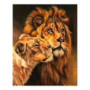 Роспись по холсту «Пара львов» по номерам с красками по3 мл+ кисти+инстр-я+крепёж, 30×40 см фотография