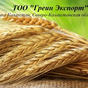 Пшеница, ячмень, рапс, лен. фото