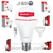 Светодиодные LED Лампы Maxus. фотография