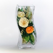 Неувядающие цветы в стекле TVS-Rwo-34589 фото