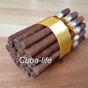 Сигары кубинские Cohiba PANETELAS