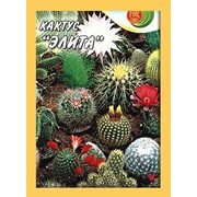 Семена комнатного растения Кактусы Элита, смесь фотография