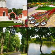 Выездная церемония регистрации брака в Воронцовском парке фото