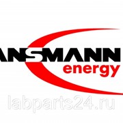 Батарейка ANSMANN LR20 (2/20)
