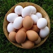 Яйцо столовое, Яйца куриные, Домашние яйца, Экологические яйца, Экол, Экологические куриные яйца